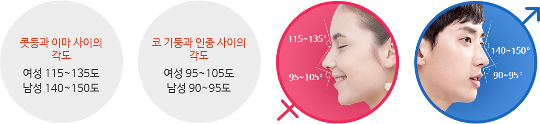콧등과 이마 사이의 각도 : 여성 115~135도 / 남성 140~150
	코 기둥과 인중 사이의 각도 : 여성 95~105도 / 남성 90~95도