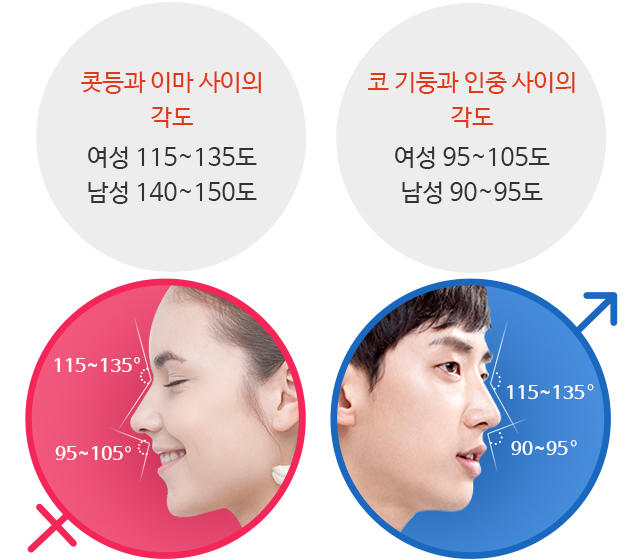 콧등과 이마 사이의 각도 : 여성 115~135도 / 남성 140~150
	코 기둥과 인중 사이의 각도 : 여성 95~105도 / 남성 90~95도